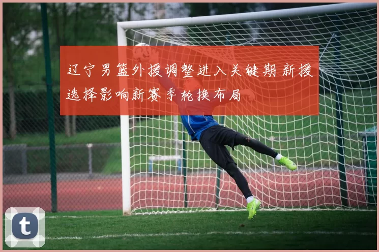 辽宁男篮外援调整进入关键期 新援选择影响新赛季轮换布局