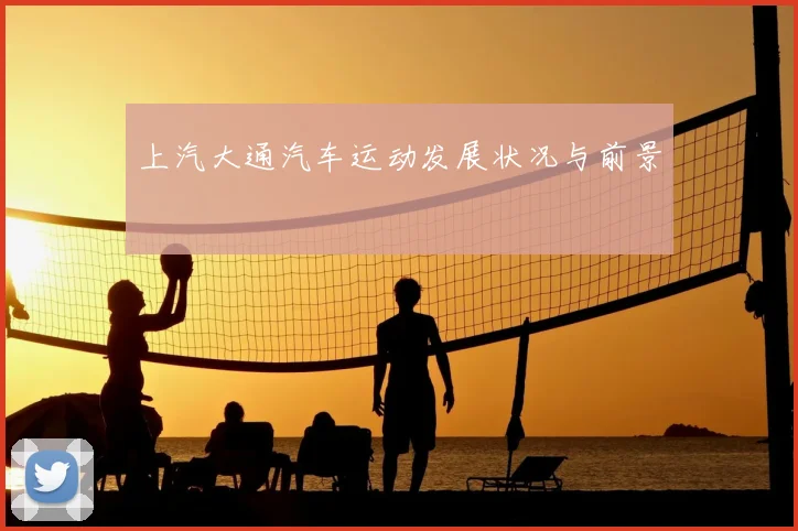 上汽大通汽车运动发展状况与前景