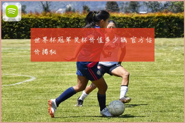 世界杯冠军奖杯价值多少钱 官方估价揭秘