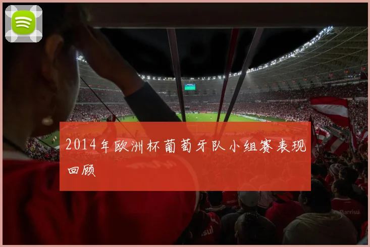 2014年欧洲杯葡萄牙队小组赛表现回顾